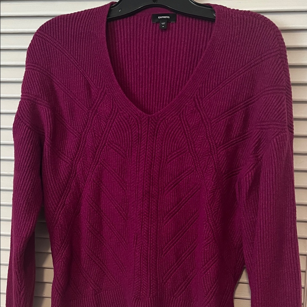 Express Women's V Neck Sweater